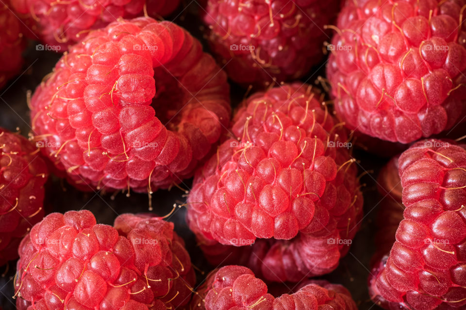Macro shot of raspberries