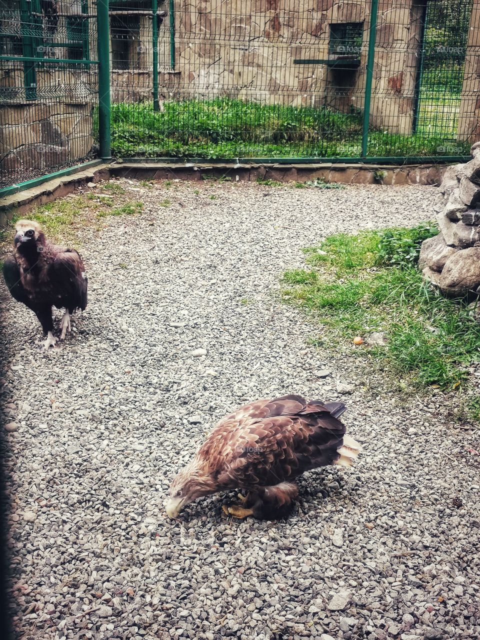 Russia view wild outside outdoor day part details capture life bus people way trip travel ongo go drive nature horizont sky skyline clouds moody