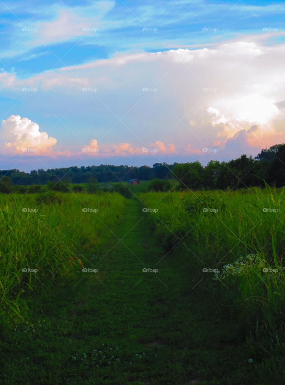 Endless trail to the barn. Long, winding, grassy path to the barn at sunset