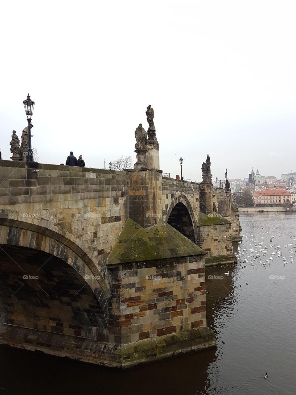 Prague Charles bridge