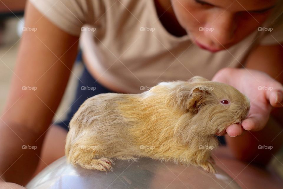 the girl with her guinea pig