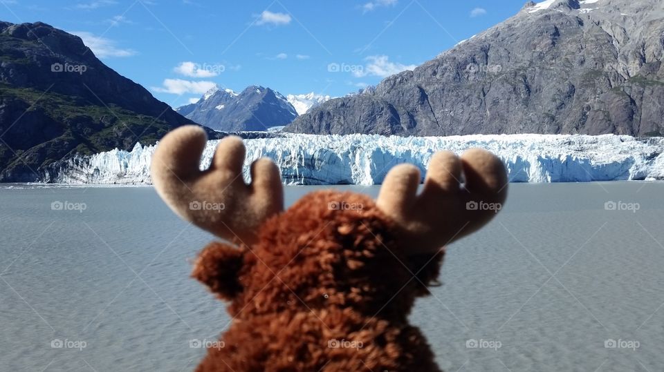 Stuffed teddy moose looking out to Glacier Bay Park inlet view while traveling in Alaska on a cruise ship