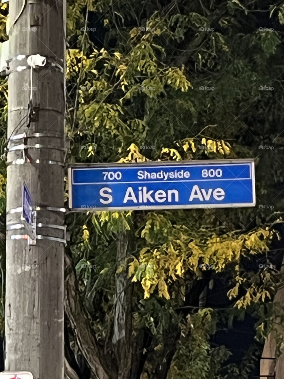 S Aiken Ave