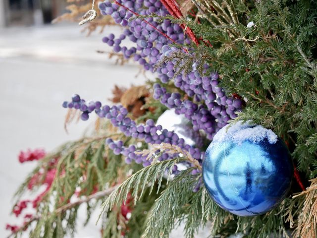 A touch of color in winter, still adorning the evergreen plants outside of the local mall. 