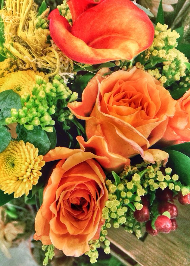 Roses are orange