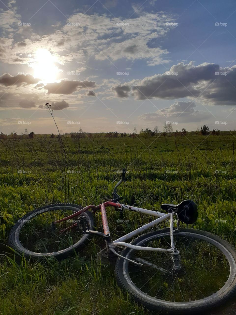 Photo of one bicycle in the middle of a wild field on a sunny day