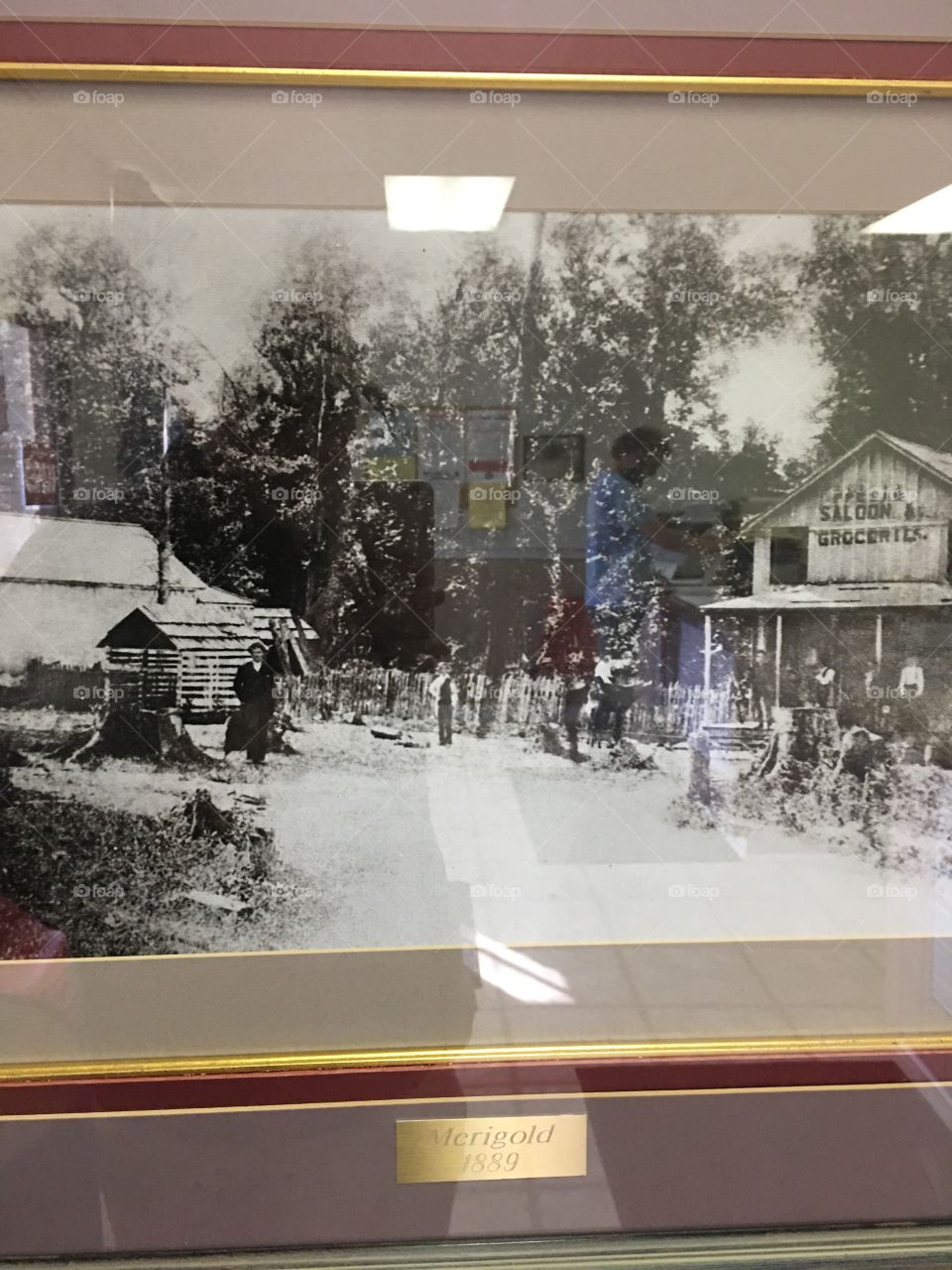 Merigold some of the first pictures