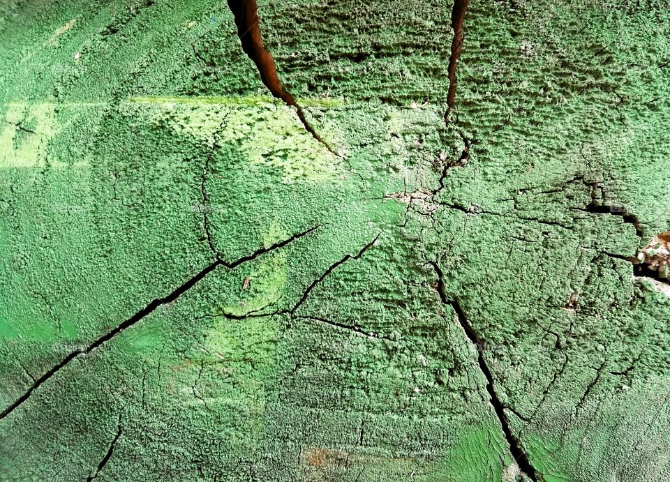 A tree stump painted green