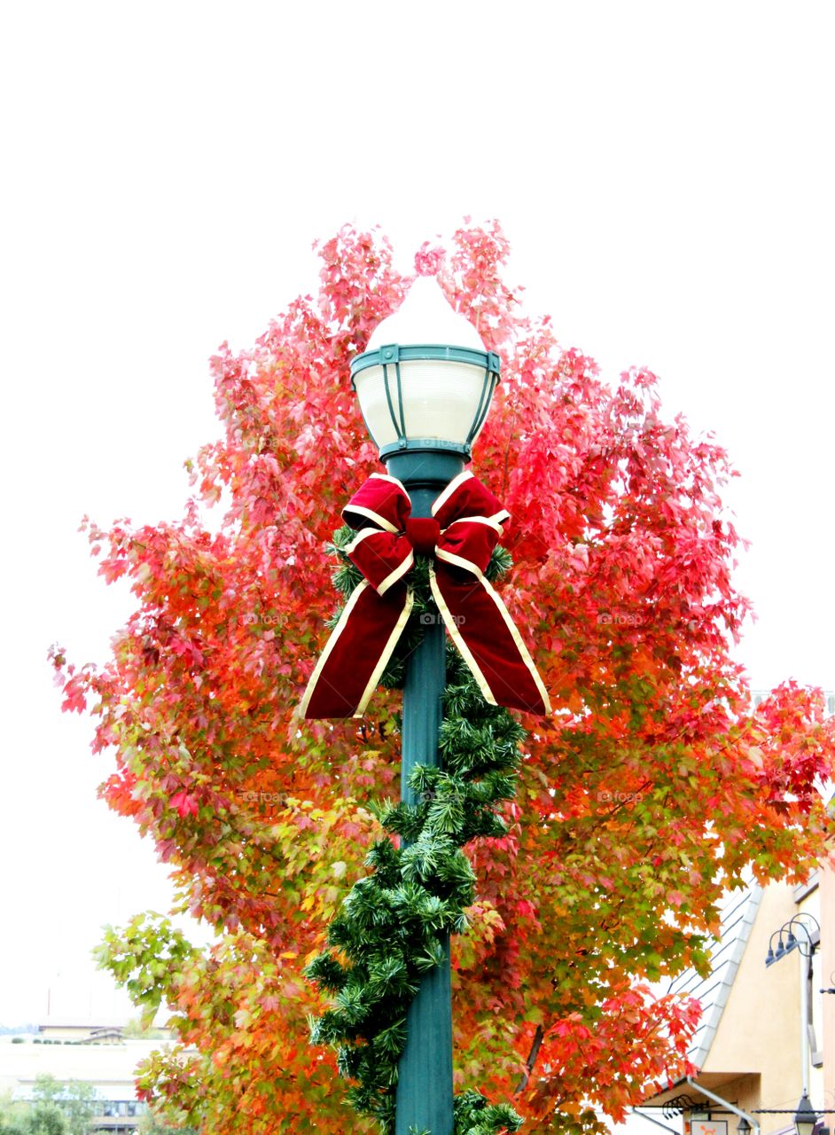 Tiss the season, holiday decor