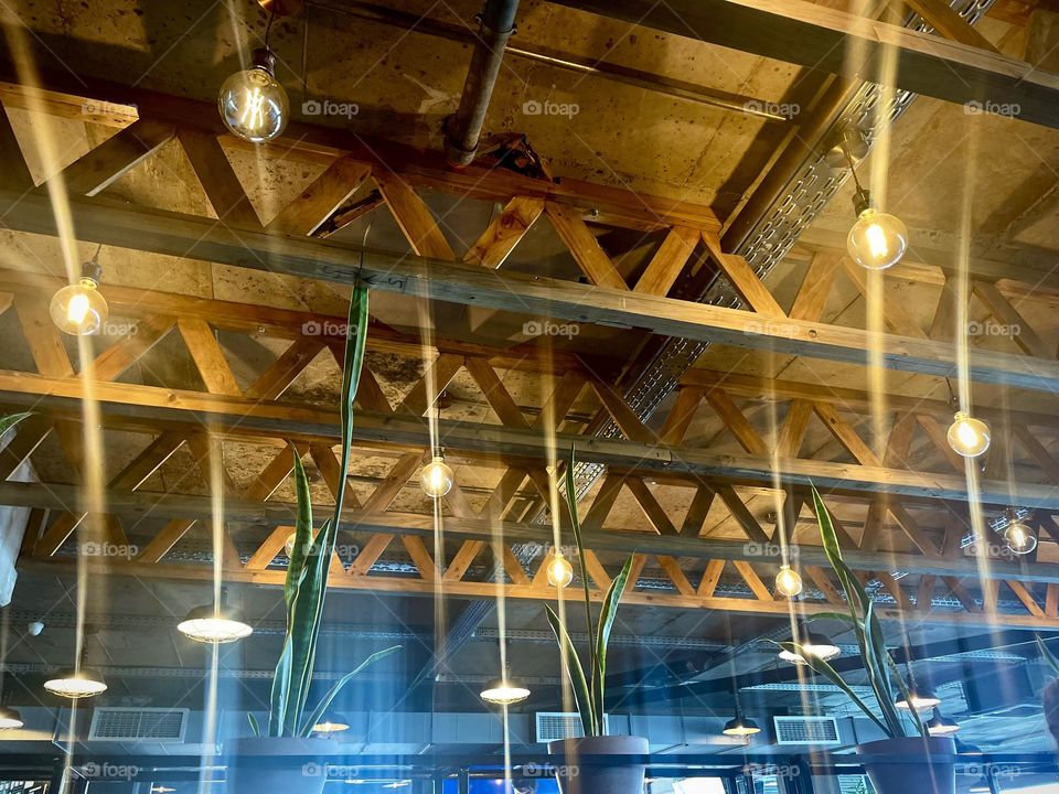 Plant in me a light for the world to see! 