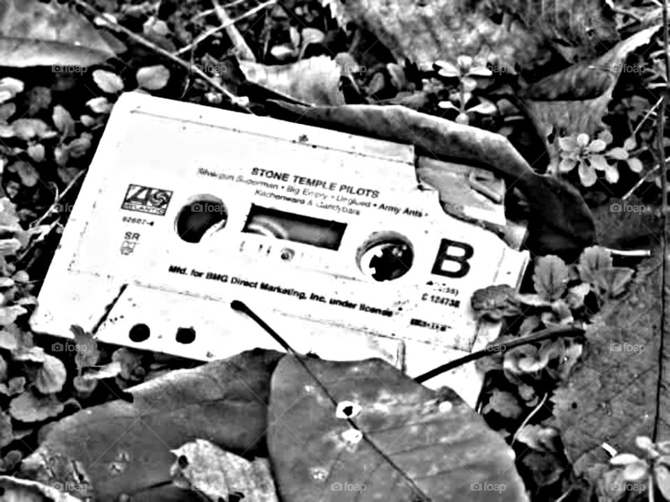 Remember when. Found this little tape hiding among the leaves, resting beneath the sun and autumn breeze