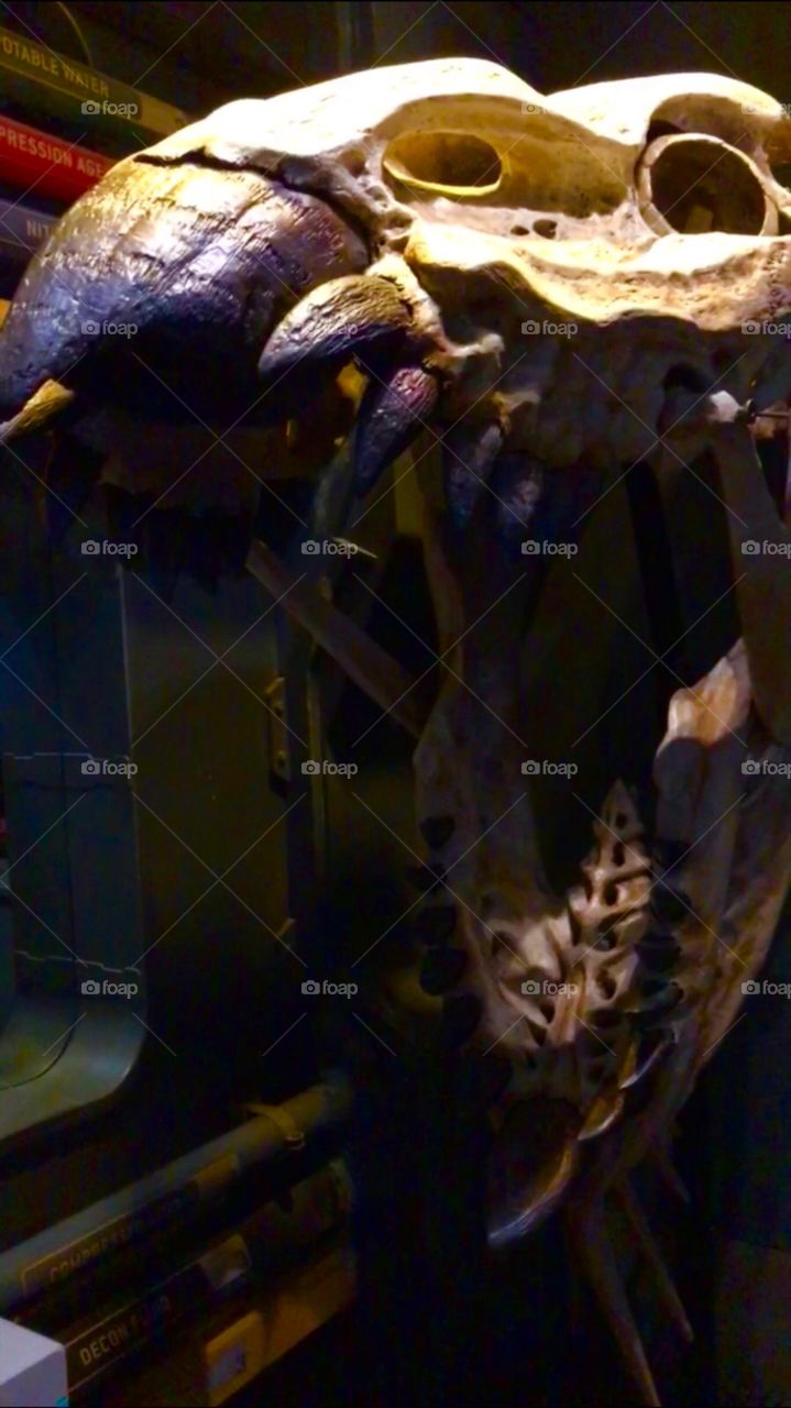 #day4 Everyday WDW Orlando Florida.  I have been lost on Disney Properties consecutively since 4/3/19 You can find my encounter https://www.facebook.com/selsa.susanna or on IG SelsaCamacho YT SelsaSusanna Snapchat Flight of Passage 4-6-19 Saturday 
