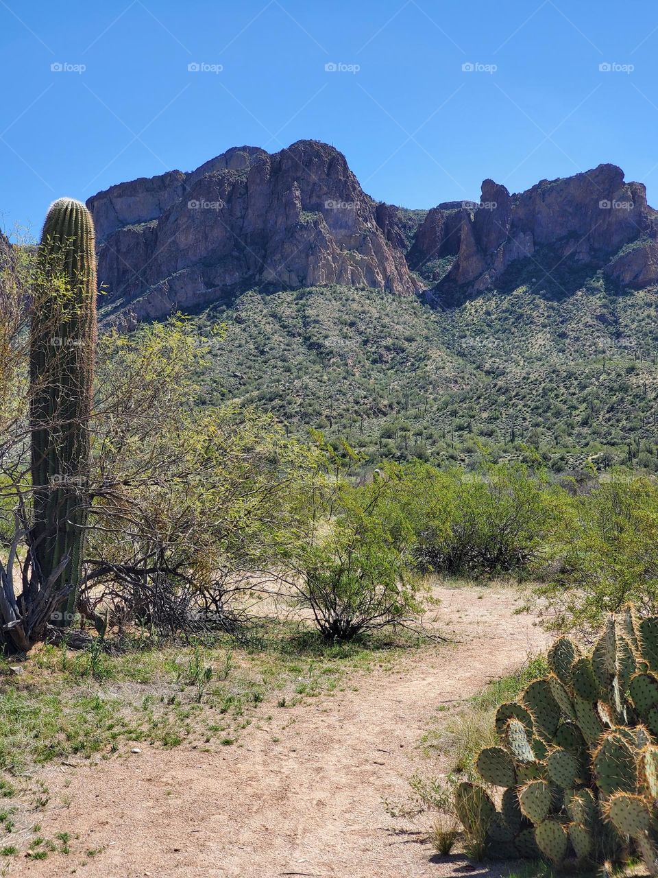 Hiking in the Arizona Desert