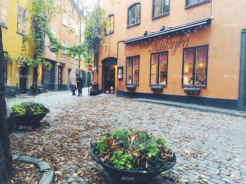 brända tomten gamla stan stockholm