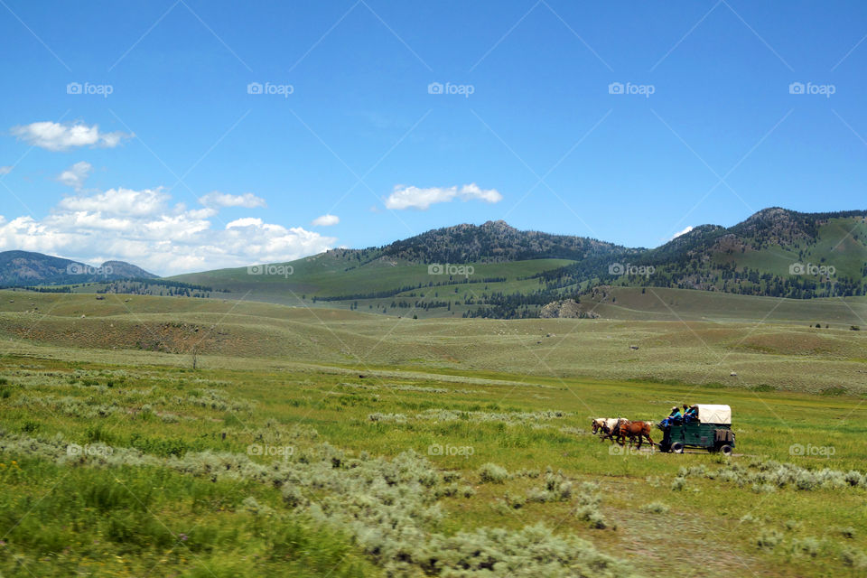 covered wagon Wyoming