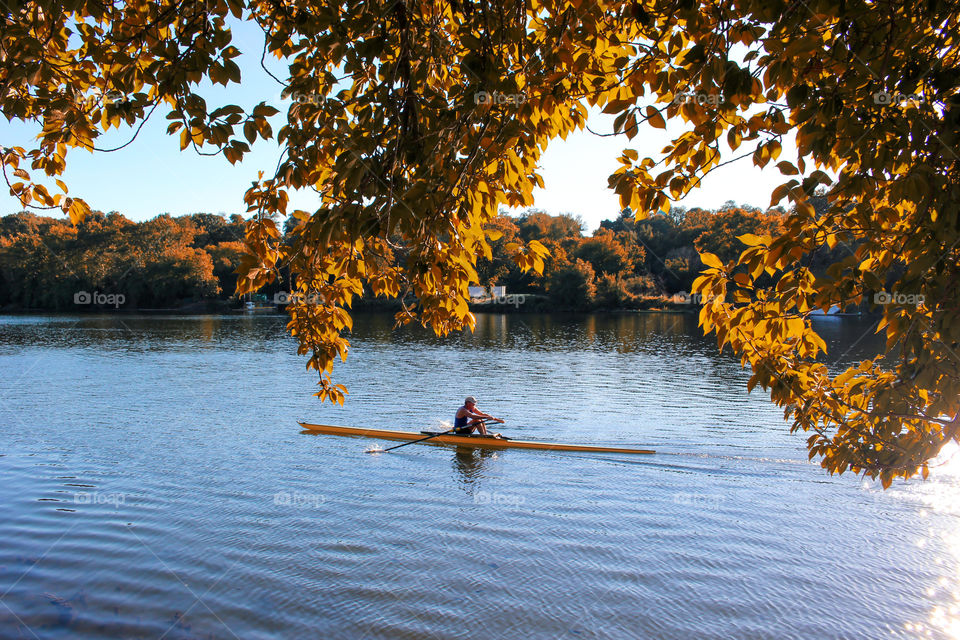 Schuylkill River in early autumn with beautiful fall foliage and blue water. One person rowing a kayak.  Kelly Drive, Philadelphia, PA. Outdoors, Active lifestyle, Seasonal, Sports, Recreation