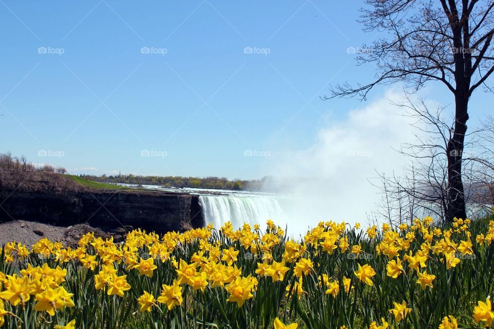 Niagara Falls from distance 