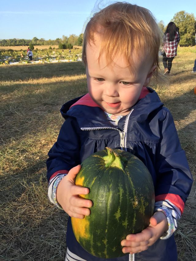 Found her pumpkin 