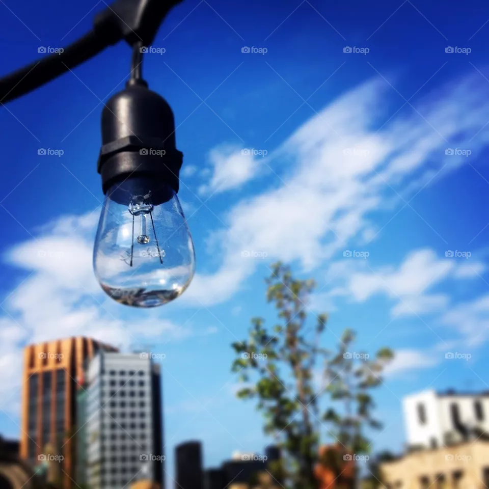 Bulb