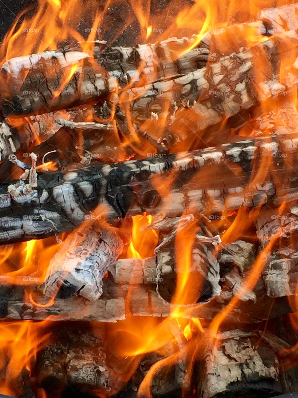Close-up of firewood