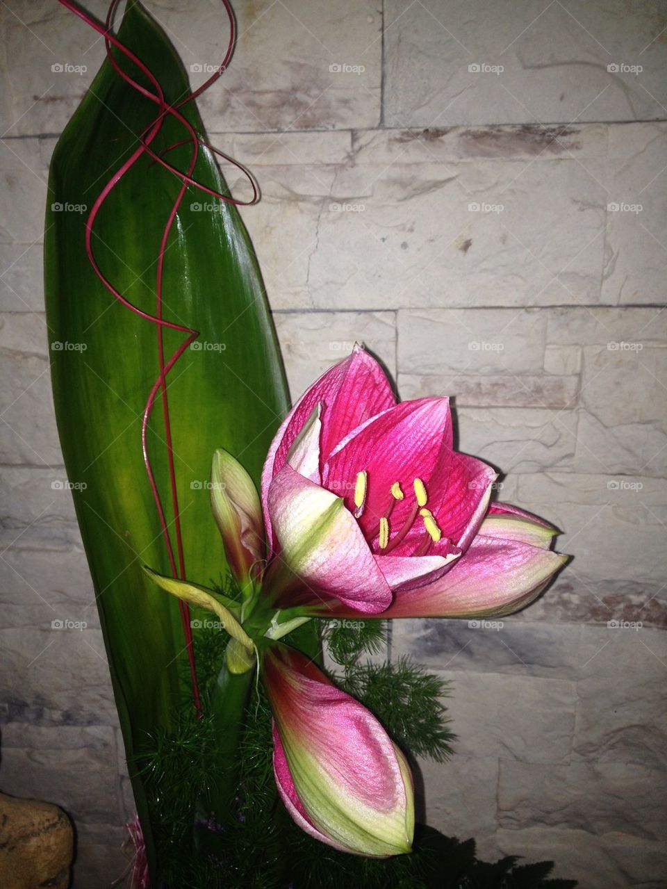 Flowers from my husband 