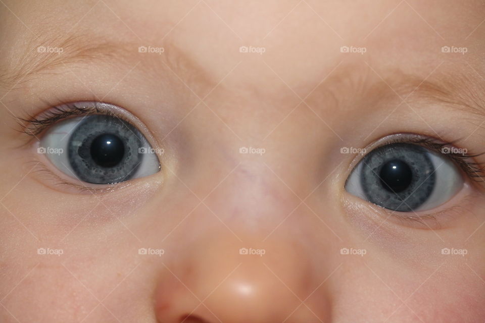 baby blue eyes