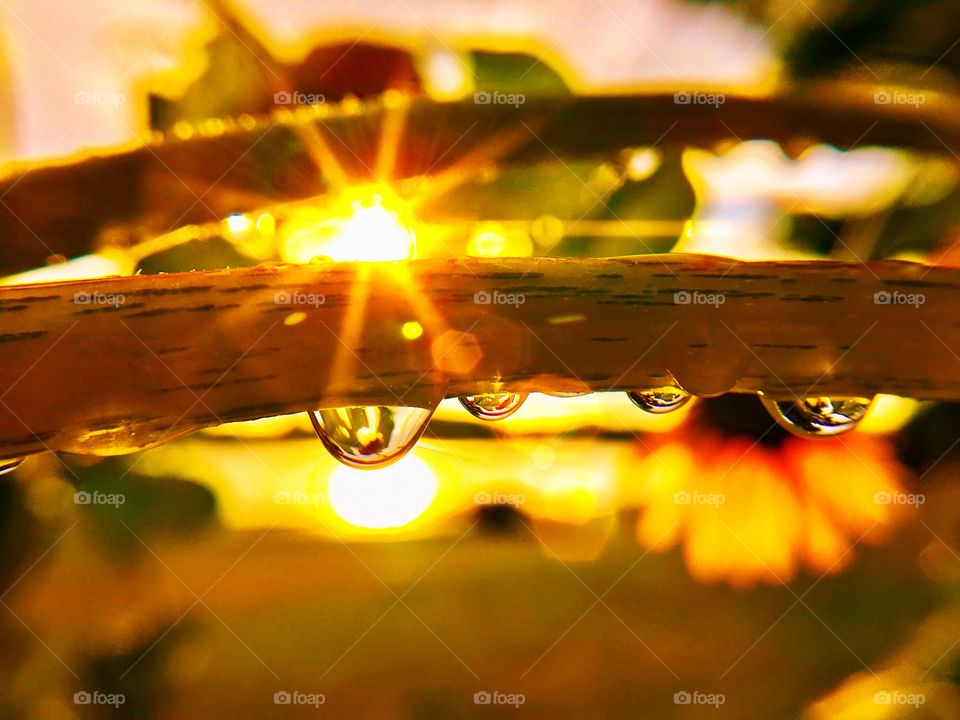 Beautiful view at sunset in Indiana 