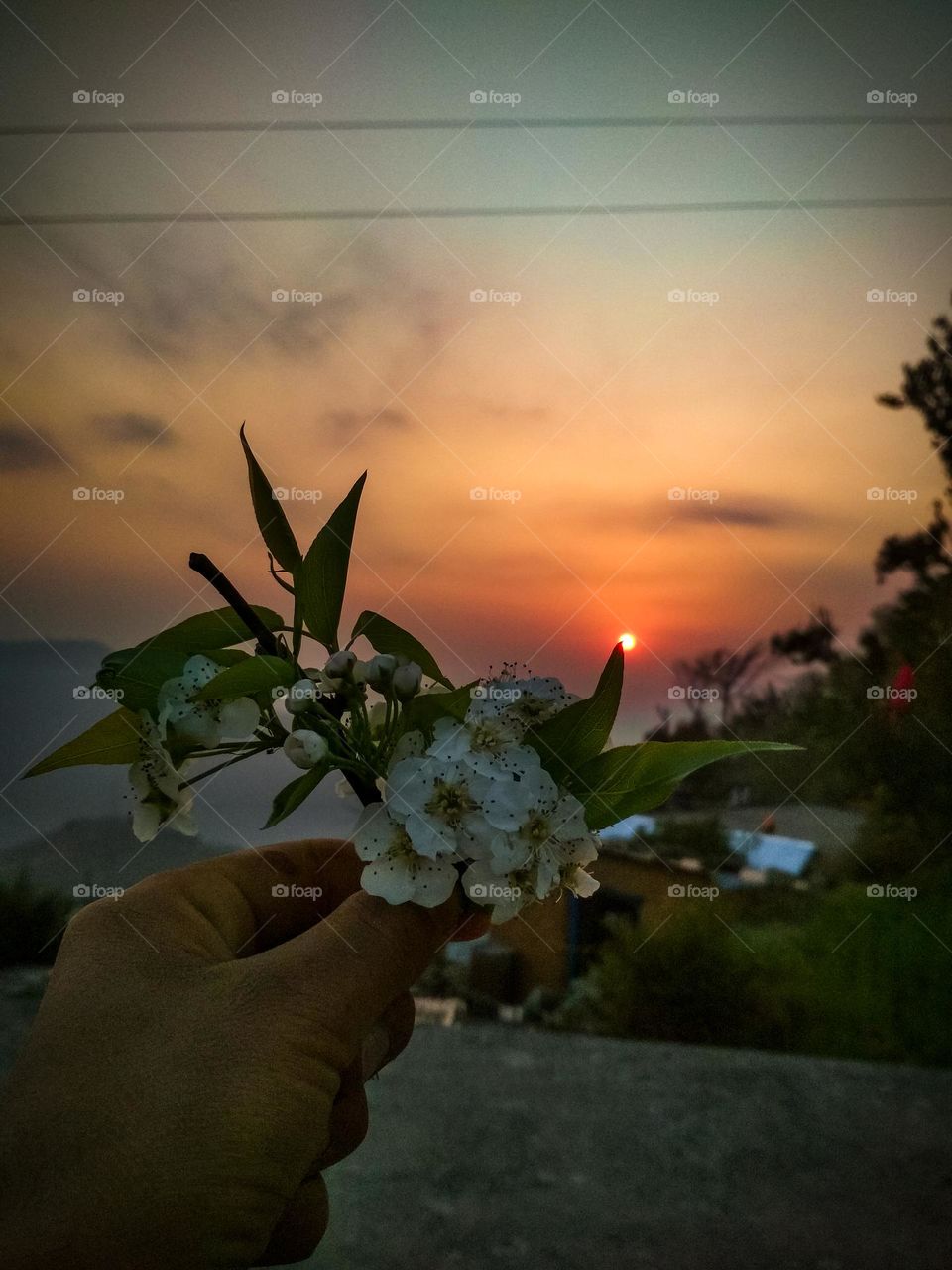 a way to view sunset.