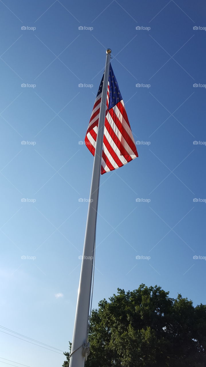 flag pole
