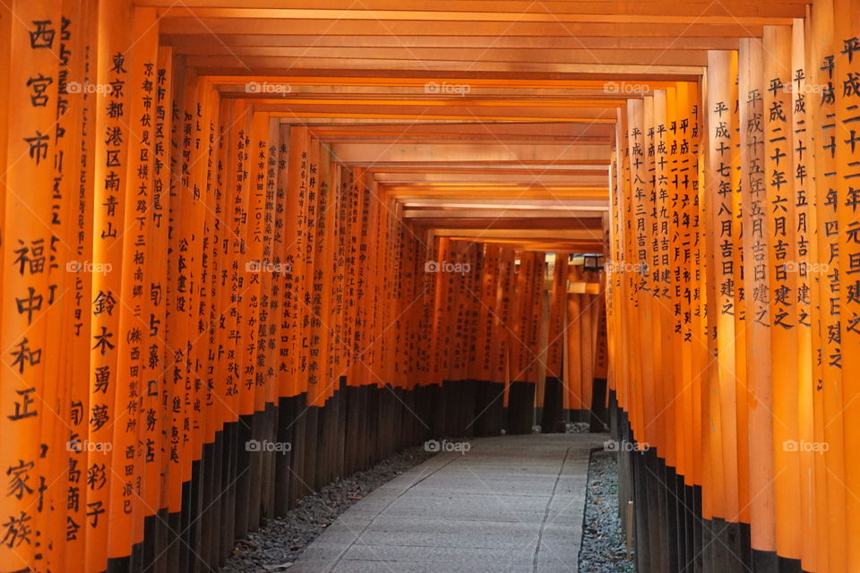 Fushimi inari Shrine