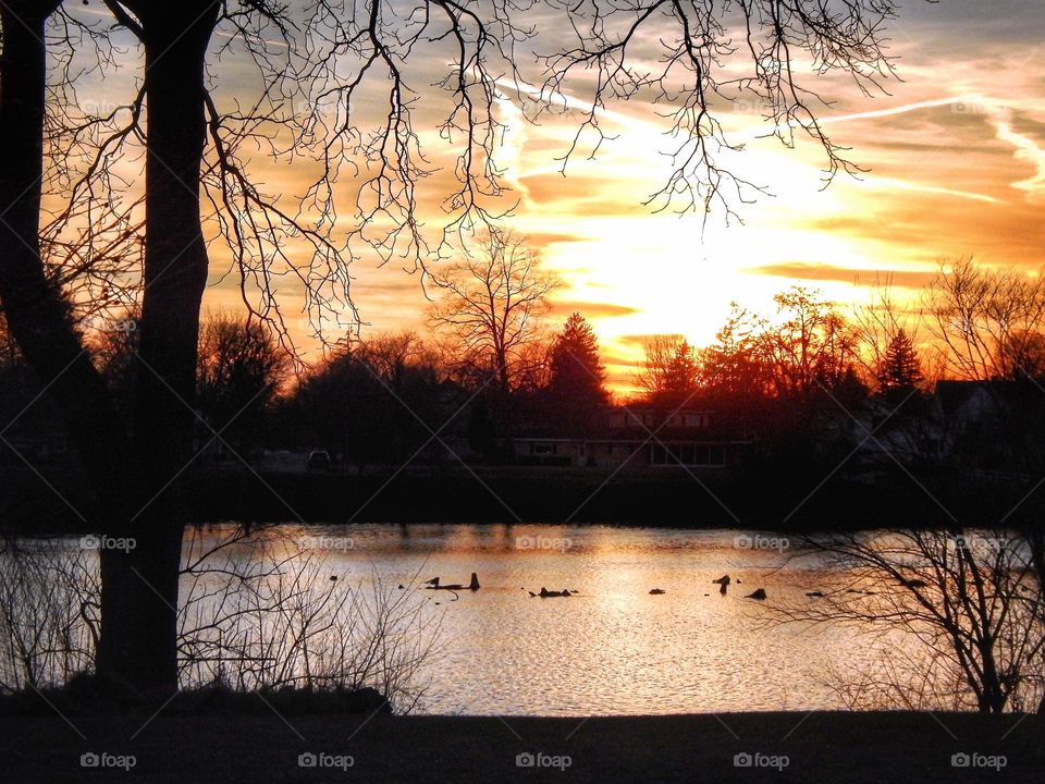 Sun setting over Michigan river creating a bright orange glow in the clouds and in the reflection on the water and the limbs and branches on the trees in the foreground are silhouetted against the bright glow.