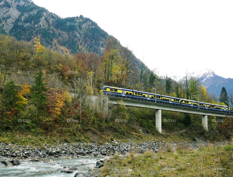 Nature#autumn#train