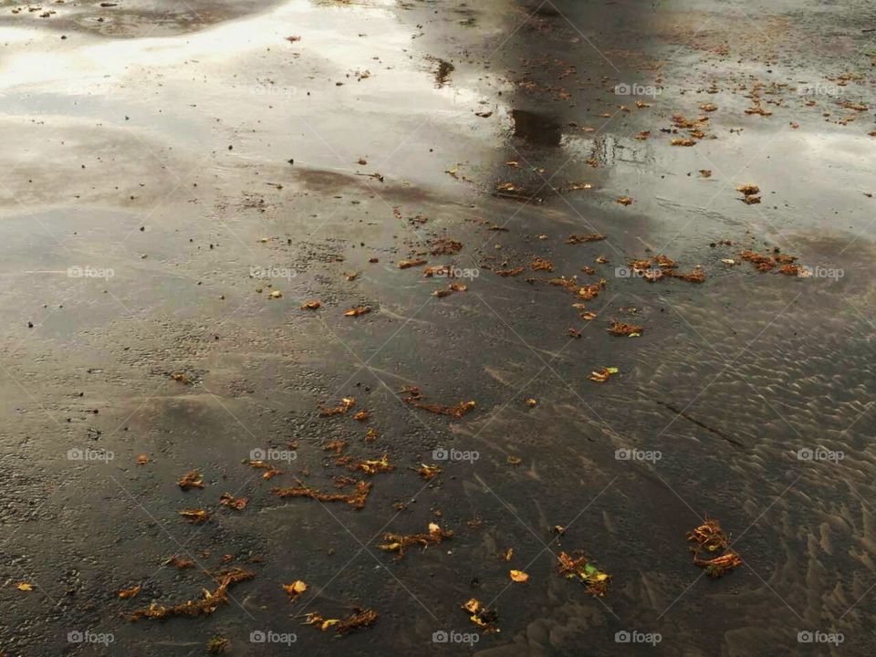 autumn rain reflection