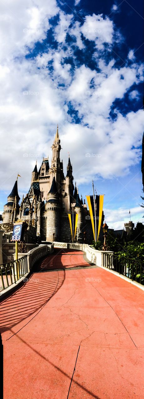 Cinderella castle