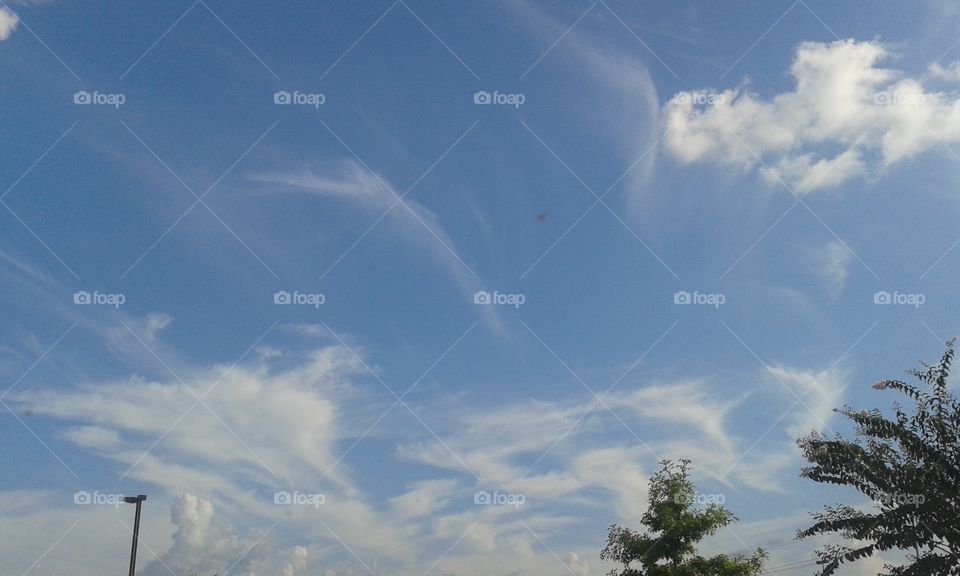 clouds wisping above us