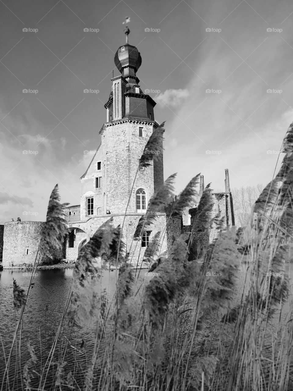 Visit of the castle of Havré, Hainaut