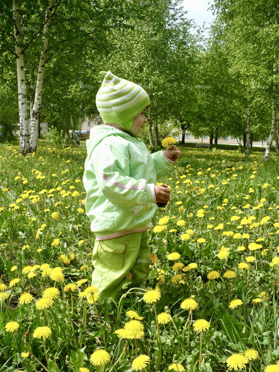 A little girl is standing on the lawn with blooming dandelions. Spring. May.