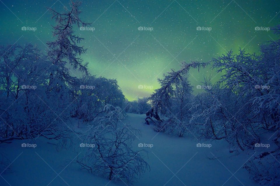 Night, aurora borealis, north, night north, polar region, night polar region, northern lights, stars, frost, frosty night, breath, cold, new year, Santa claus, northern santa claus, travel, night walk, shining sky, flashes, tundra, forest,