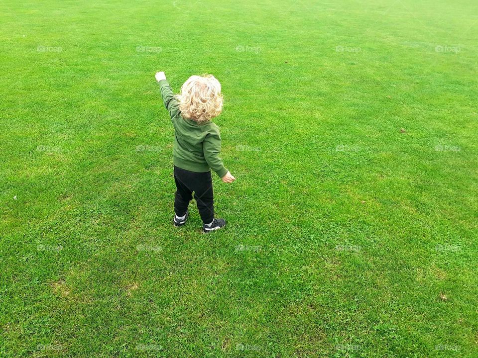 freedom in the green stadium