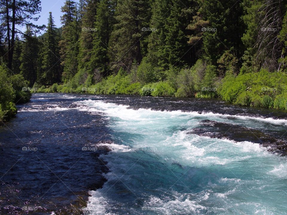 The absolutely stunning turquoise waters of Wizard Falls in the Metolius River on a sunny summer morning in Central Oregon. 