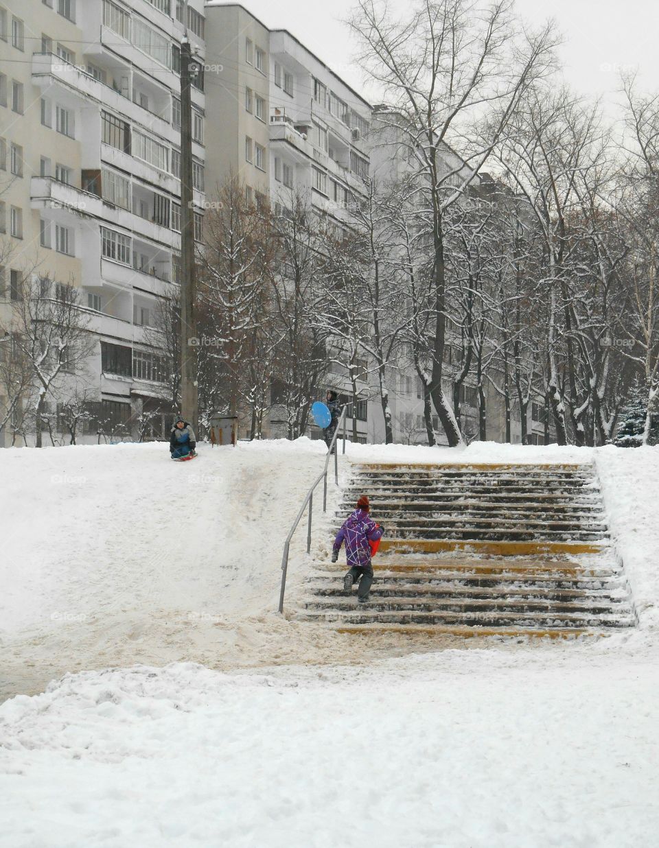 Snow, Winter, Cold, Frost, Weather