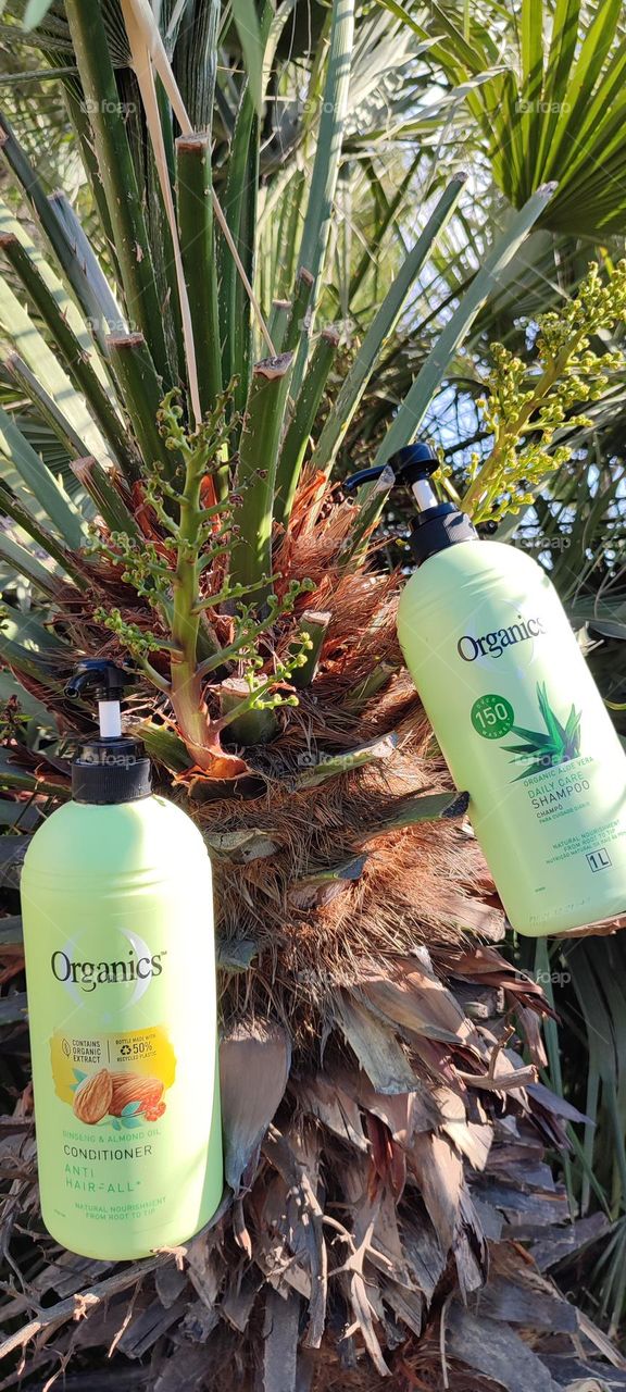 Organis Daily Care 2-in-1, Shampoo and Conditioner