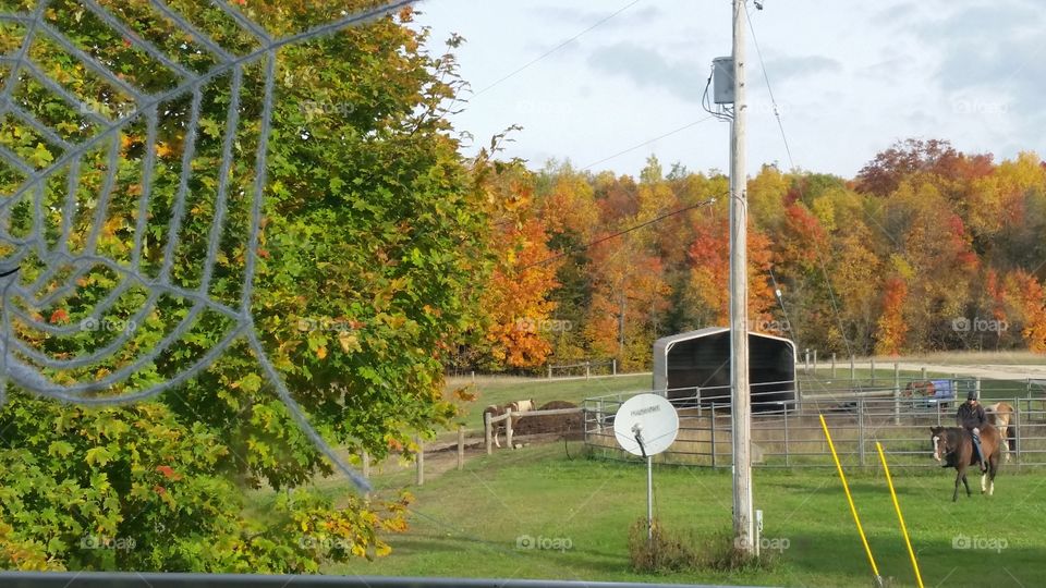 Fall on the Farm