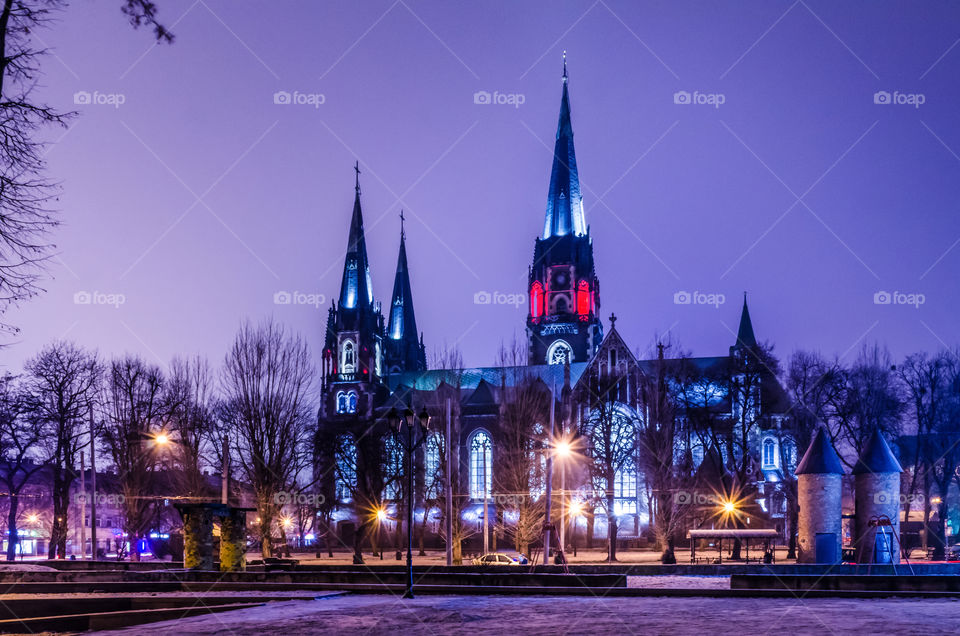 St. Olga and Elizabeth cathedral in Lviv city