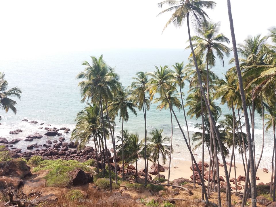 Nature at its best.  Cabo-de-Rama beach, Goa, India.  Be in nature. Feel Refreshed.