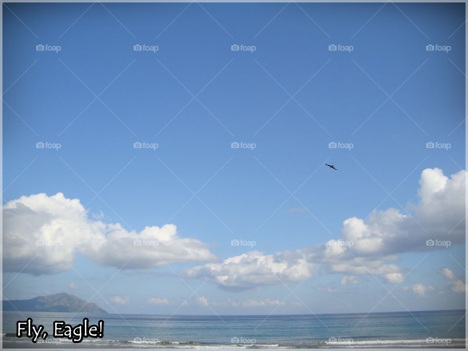 Fly Me Eagle Fly. At Maunggora Beach, Ende, Flores Island, Indonesia.
