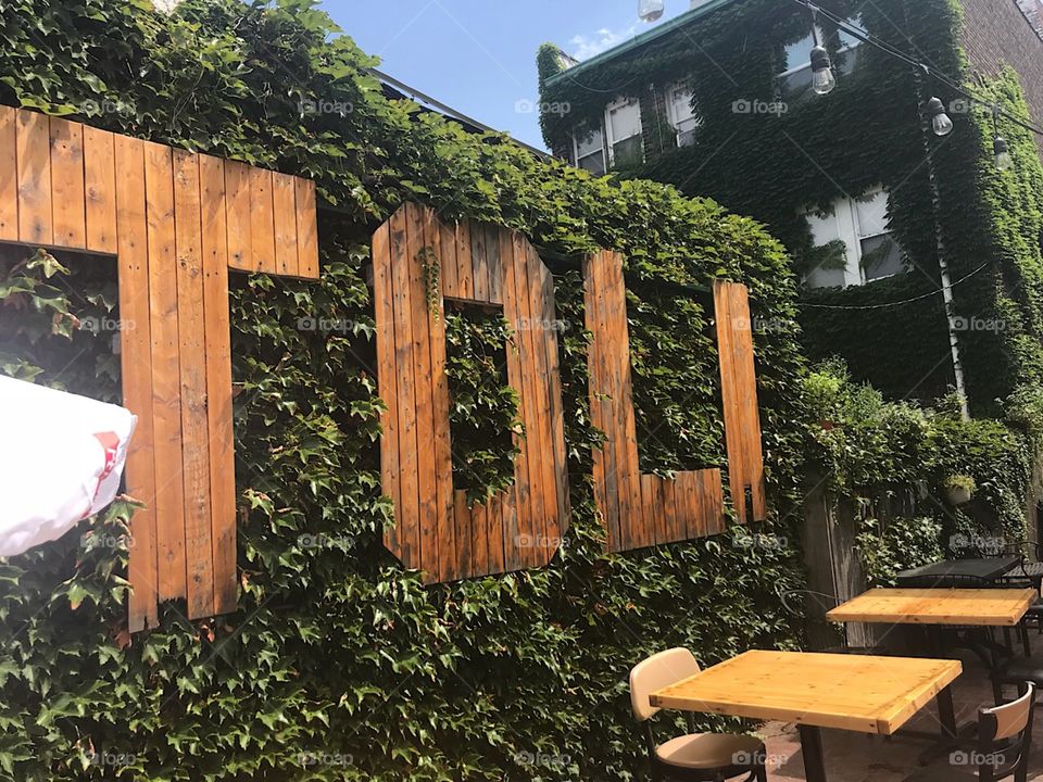 Tavern of Little Italy 