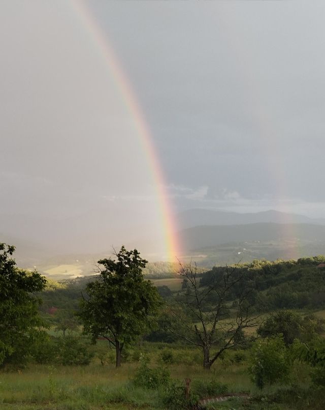 Rainbow