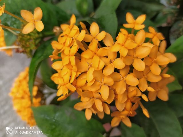 Moods of Autumn