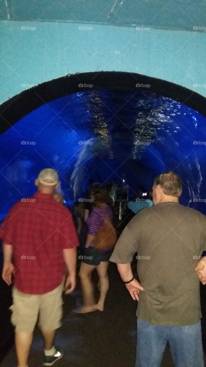Oklahoma aquarium shark tunnel